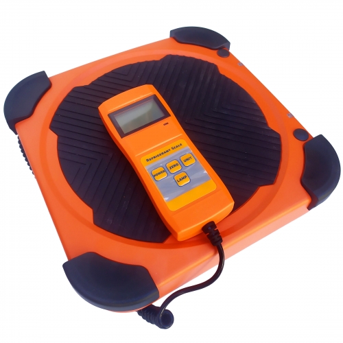 Balance de charge electronique 100kg résolution 5g